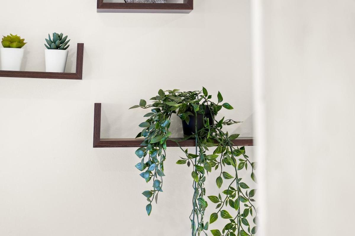 Beautiful 2 Bed Home Dt With Free Parking Βανκούβερ Εξωτερικό φωτογραφία